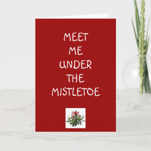 MEET ME UNDER THE MISTLETOE FOR A MERRY CHRISTMAS HOLIDAY CARD