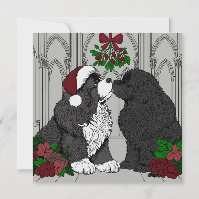 Meet me under the mistletoe Newfoundland Holiday Card (Front)