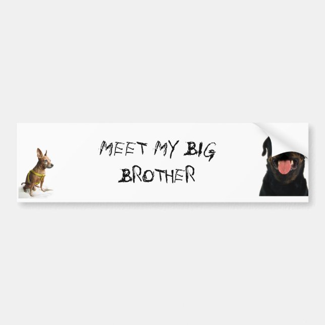 meet my big brother bumper sticker (Front)