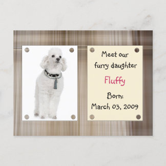 Meet new pets announcement postcard