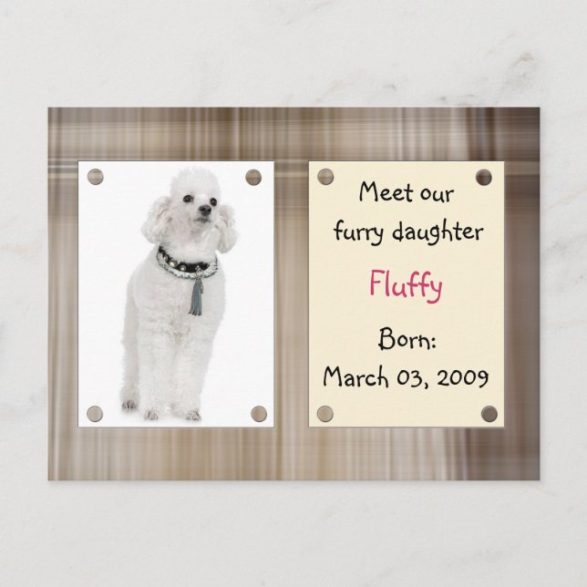 Meet new pets announcement postcard (Front)