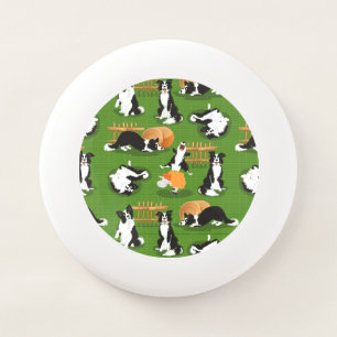 Meet Tejo, my brother's dog Wham-O Frisbee