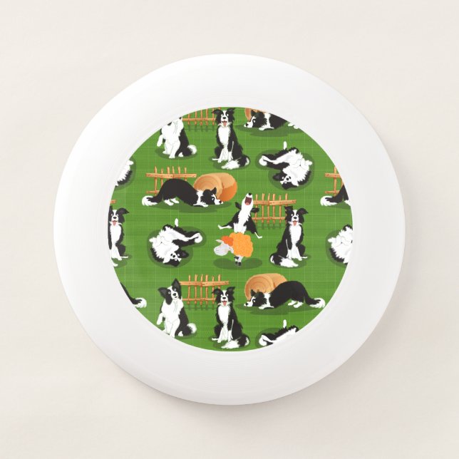 Meet Tejo, my brother's dog Wham-O Frisbee (Front)