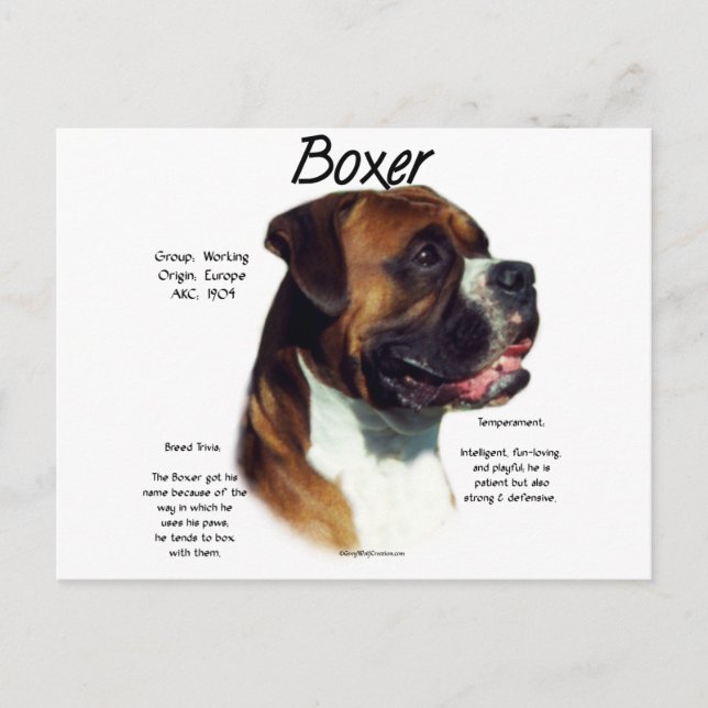 Meet the Breed Postcard (Front)