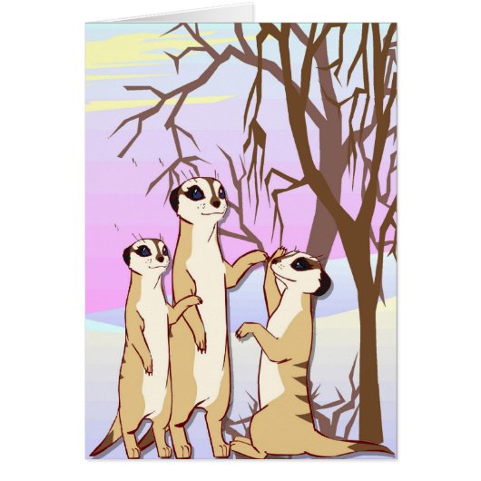 Meet the meerkats, Family in the snow (Front)