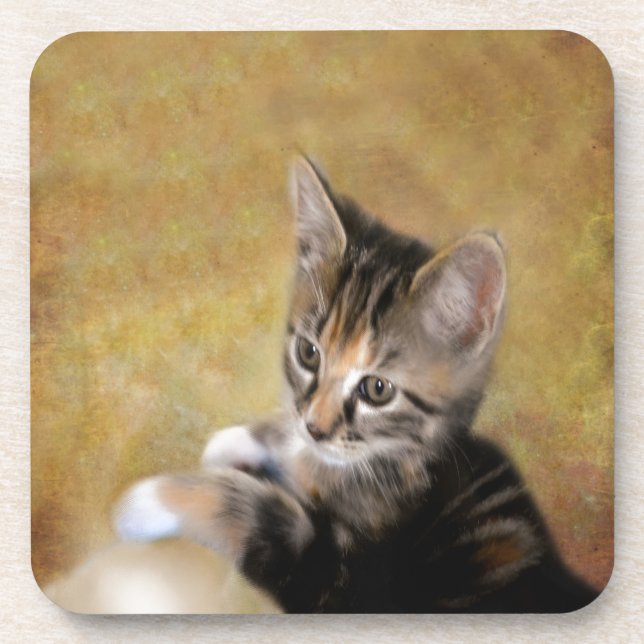 Meet Tiger Drink Coaster (Front)