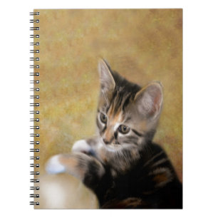 Meet Tiger Notebook