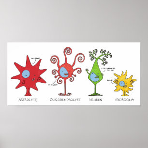 Meet your brain cells WIDE Poster