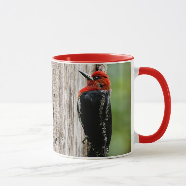 Meeting a Red-Breasted Sapsucker Mug (Right)
