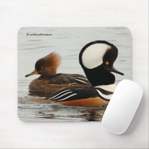 Meeting of Hooded Merganser Ducks at the Pond Mouse Pad