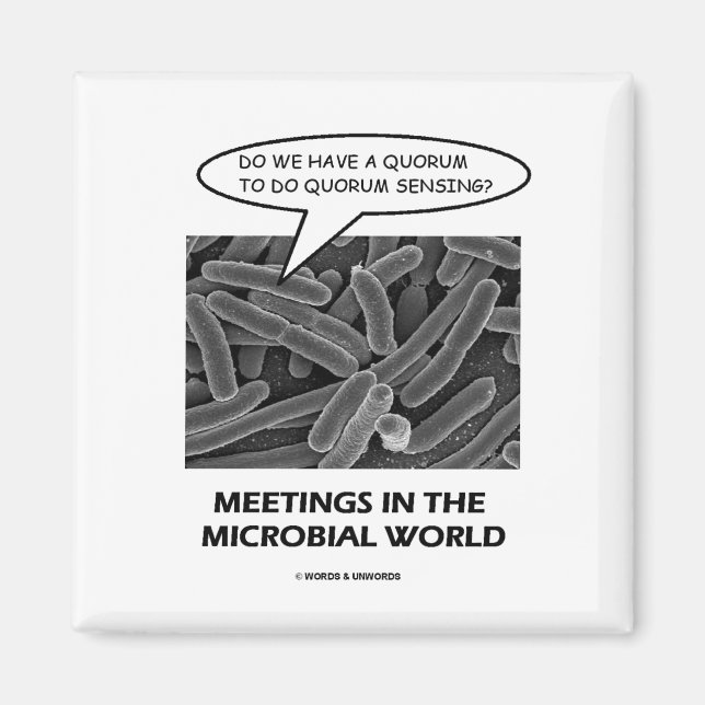 Meetings In The Microbial World (Quorum Sensing) Magnet (Front)