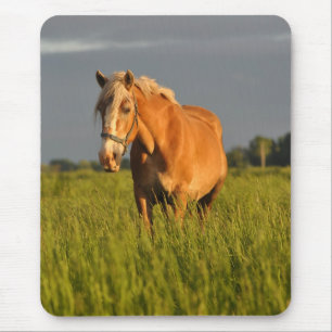 Meg in the Pasture Mouse Pad