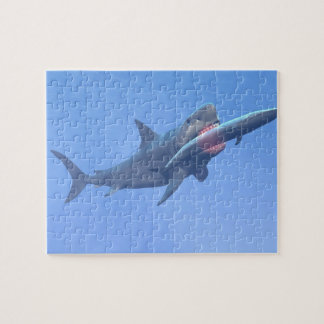 Megalodon eating a whale jigsaw puzzle