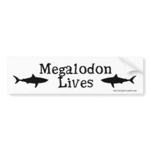Megalodon Lives! Bumper sticker