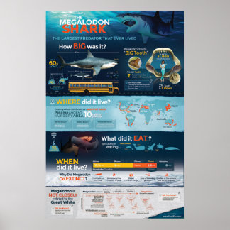 Megalodon Shark - Predator! 24x36" Poster