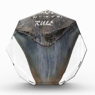 Megalodon Shark Tooth Award