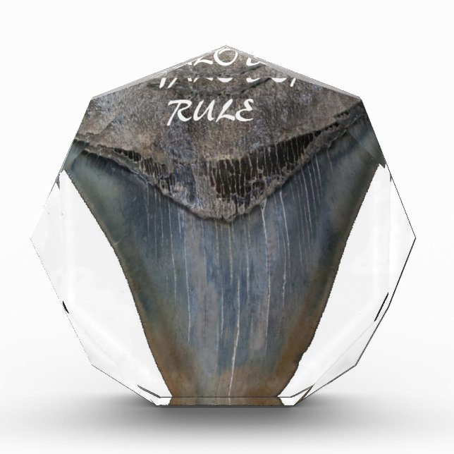 Megalodon Shark Tooth Award (Front)