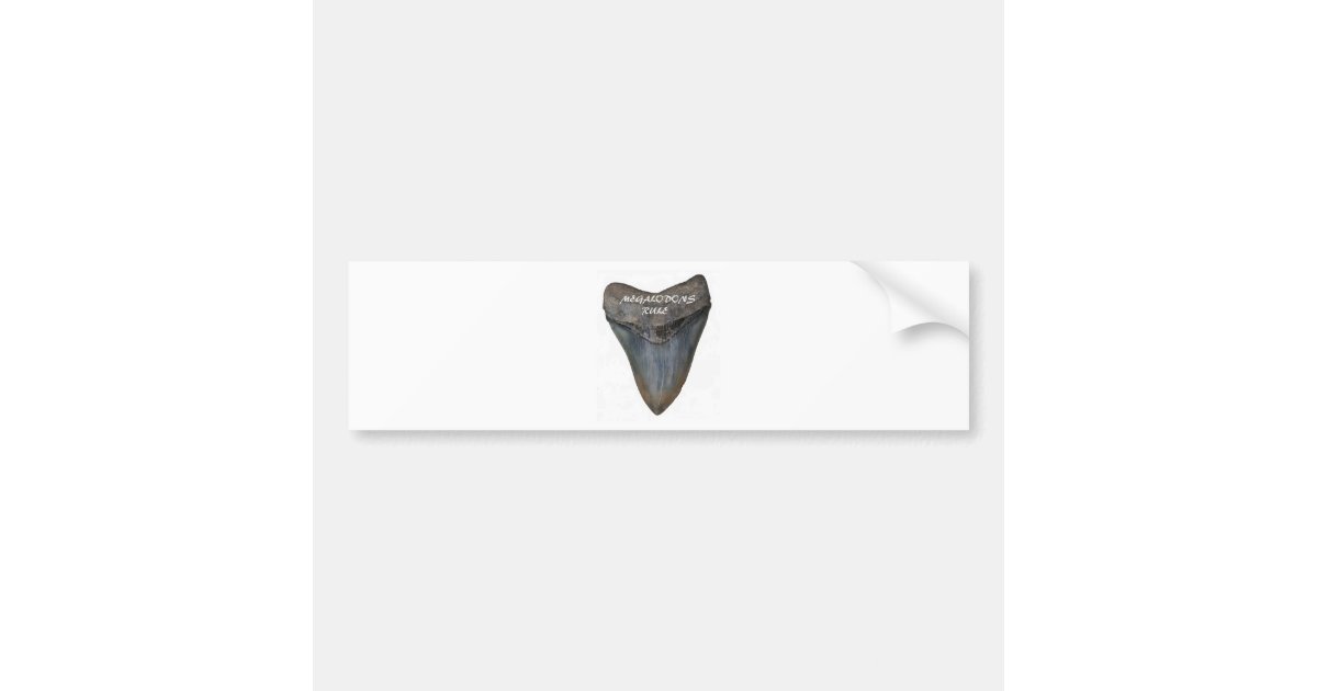 Megalodon Shark Tooth Bumper Sticker | Zazzle.com