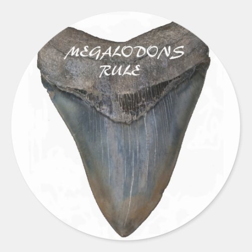 Megalodon Shark Tooth Classic Round Sticker
