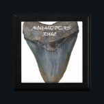 Megalodon Shark Tooth Jewelry Box<br><div class="desc">Magalodons Rule! Magalodon Shark Tooth.</div>