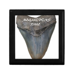 Megalodon Shark Tooth Jewelry Box