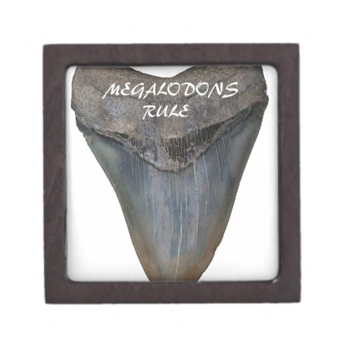 Megalodon Shark Tooth Keepsake Box