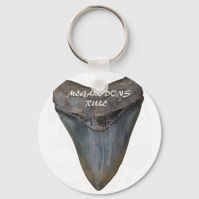 Megalodon Shark Tooth Keychain (Front)