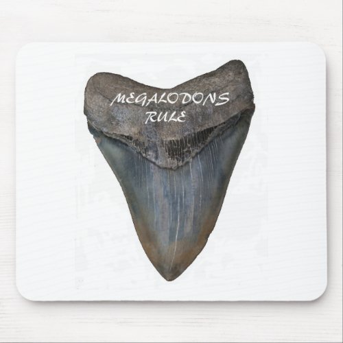 Megalodon Shark Tooth Mouse Pad