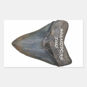 Megalodon Shark Tooth Rectangular Sticker