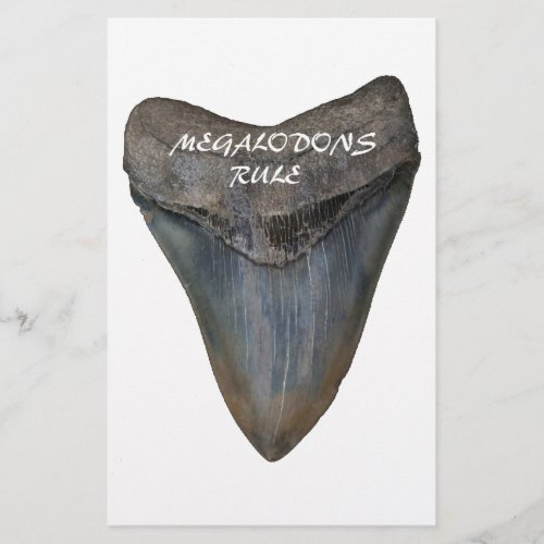 Megalodon Shark Tooth Stationery