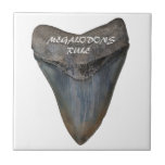 Megalodon Shark Tooth Tile<br><div class="desc">Megalodons Rule, Megalodon Shark Tooth! Great for you or for a gift!</div>
