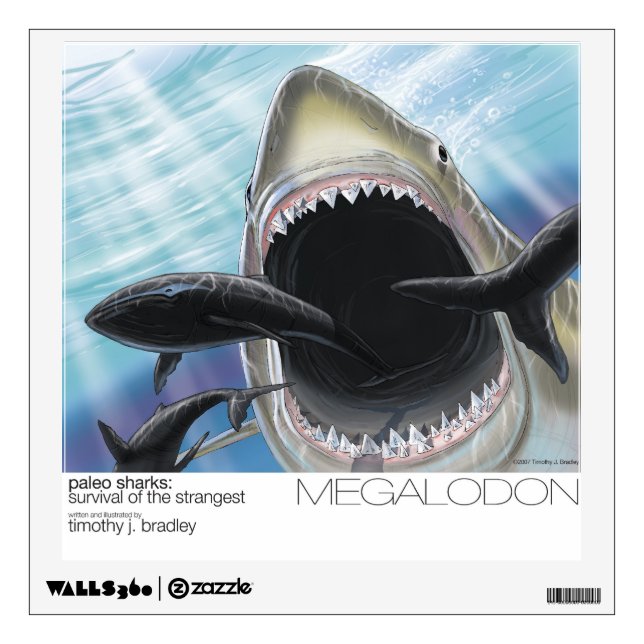 Megalodon wall decal (Front)
