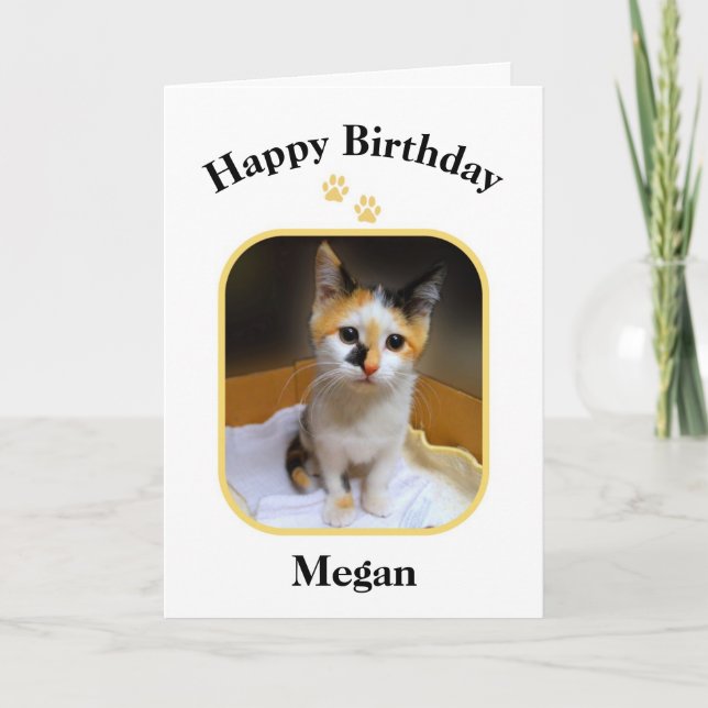 Megan Calico Kitten Happy Birthday Card (Front)