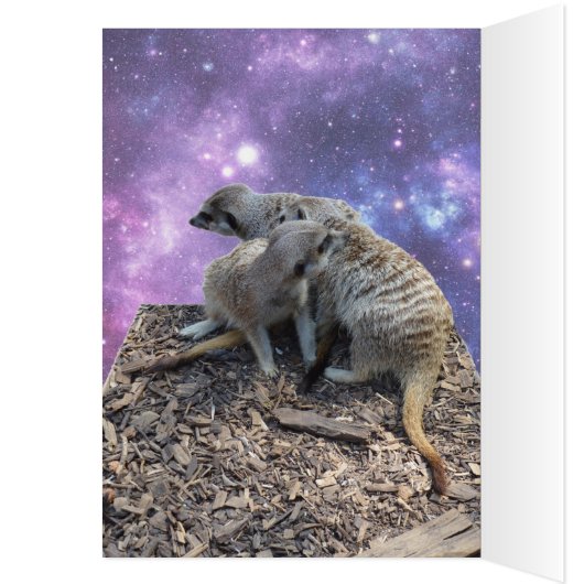 Megan, Happy Birthday Meerkat Birthday Card (Inside (Left))