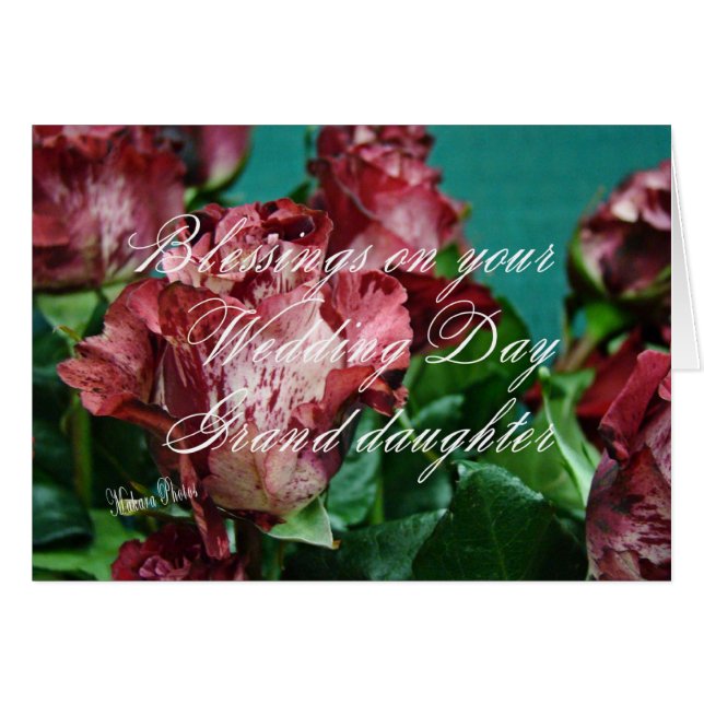 Megan's Roses  WD 11 grd-zz Cards (Front Horizontal)