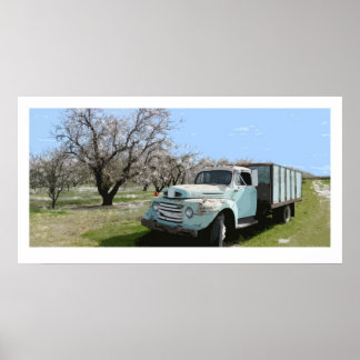 Megan's Truck in Almond blossoms Poster