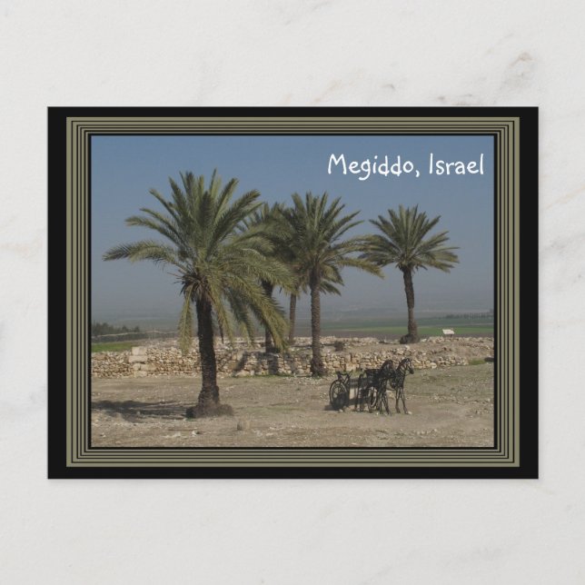 Megiddo Israel Postcard (Front)
