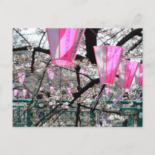 Meguro River Cherry Blossom Festival Postcard