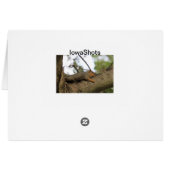 Meh (Back Horizontal)