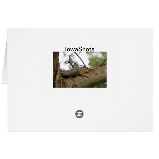 Meh (Back Horizontal)