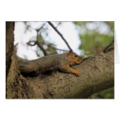 Meh (Front Horizontal)