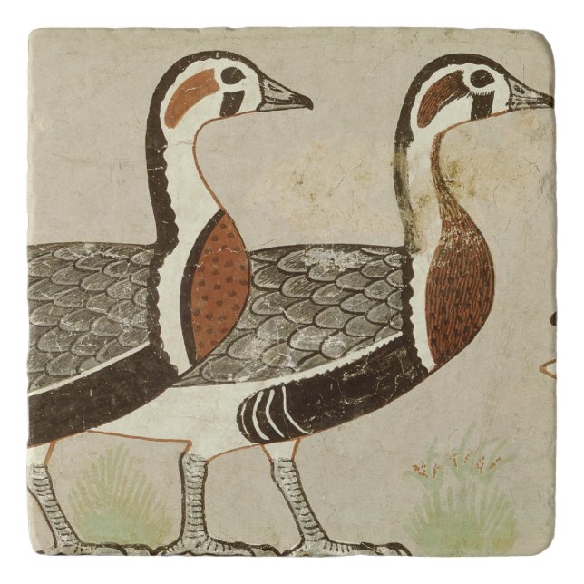 Meidum geese, from the Tomb of Nefermaat and Trivet (Front)