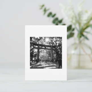 Meiji Shrine: Tokyo Postcard