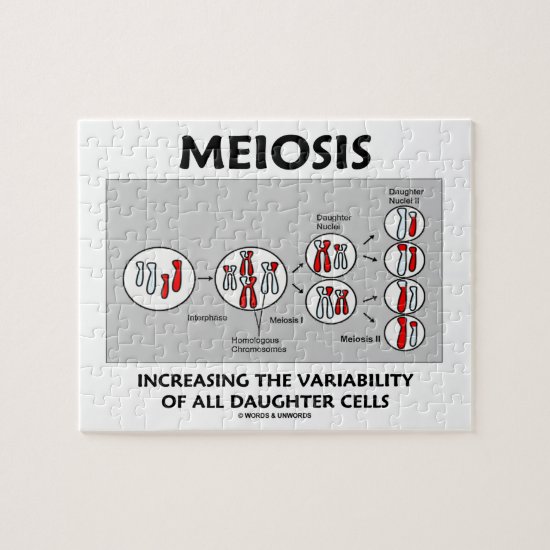 Meiosis Increasing Variability All Daughter Cells Jigsaw Puzzle