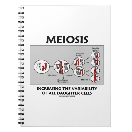 Meiosis Increasing Variability All Daughter Cells Notebook