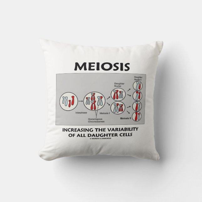 Meiosis Increasing Variability All Daughter Cells Throw Pillow (Front)