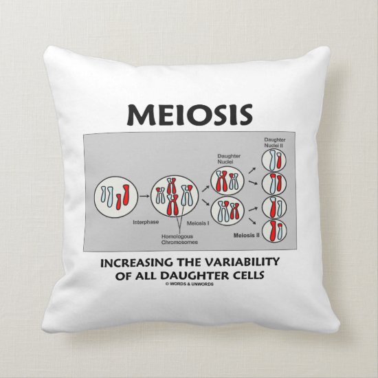 Meiosis Increasing Variability All Daughter Cells Throw Pillow