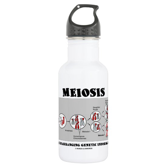Meiosis Just Rearranging Genetic Information Water Bottle