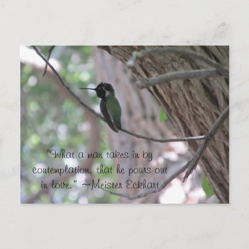 Meister Eckhart Contemplation Quote Hummingbird Postcard