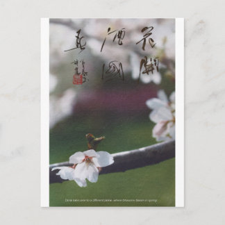 meitokai postcard 1